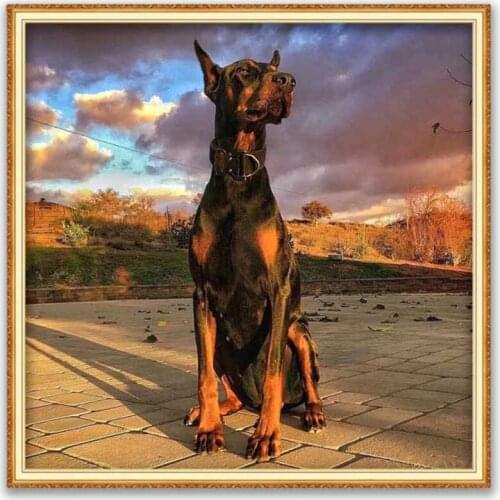 Animal Dog Doberman DIY 11CT Embroidery Cross Stitch Kits Needlework Craft Set Printed Canvas Cotton Thread Decoration Wholesale
