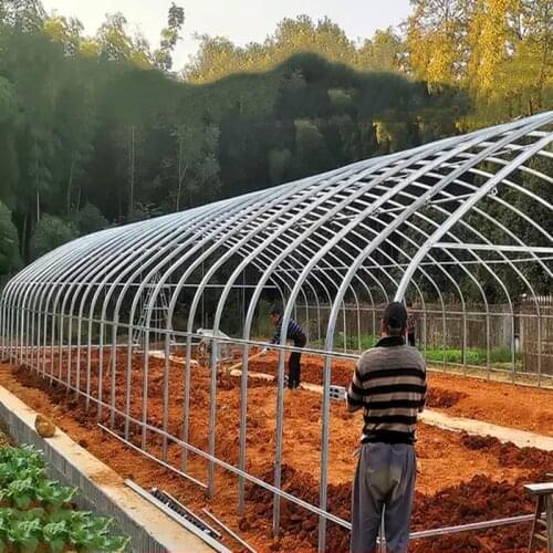 Large plant greenhouse, suitable for growing all kinds of large and small plants, fruit trees, vegetables, etc