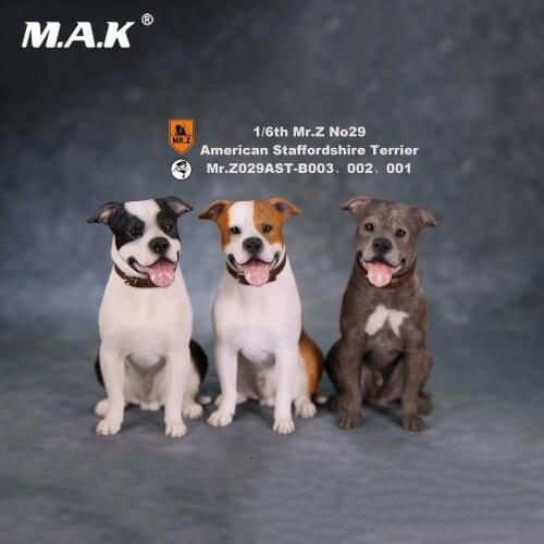 For Collection 1/6 Scale Scene Accessories Mr.Z Animal Model NO. 29:American Staffordshire Terrier Posture with Exchanged Head