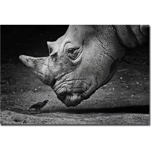 Black and White Wall Art Pictures Animals Wall Print Nordic Poster Canvas Art Horse Rhinoceros Bird Dialog Raccoon Cat Poster