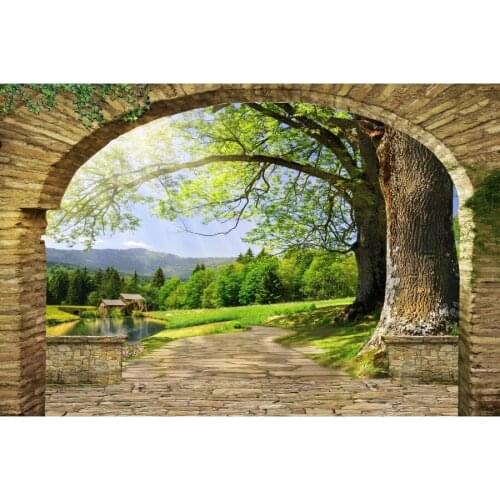 Countryside Arch Passage Landscape Photography Backgrounds Customized Baby Portrait Photographic Backdrops For Home Photo Studio