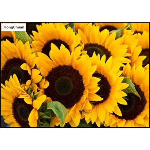 Diamond embroidery sunflower 5D DIY diamond painting square/round diamond inlaid rhinestone picture mosaic cross stitch