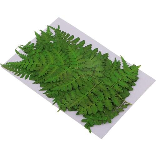 12x Real Pressed Dried Flower Leaves DIY Arts Crafts Resin Jewelry Bookmarks