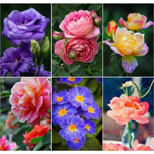 5D Diy Full Square/round Diamond Painting Rose Flower Picture for Sale Rhinestone Embroidery Cross Stitch Home Decoration Gift