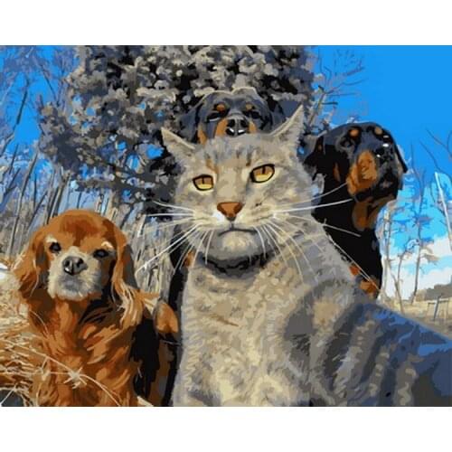 Frameless painting by numbers animals wall decor diy picture by numbers on canvas for home decor 4050cm kitty and dog