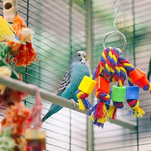 Bird Parrot Chewing Toy Bite Resistant Bird Tearing Toy Cockatiels Parakeet Training Toy Bird Accessories for Small Large Parrot