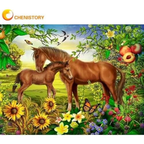 CHENISTORY Sunflower Horse Animal Picture By Numbers For Adults Beginner HandPainted 40x50cm Frame On Canvas Home Decoration