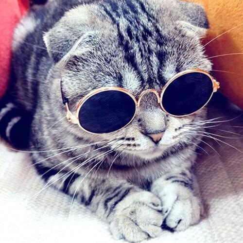 Pet Accessories Cat Goggles Lovely Round Sunglasses Eyewear glasses For Small Dog Cat Pet Photos Props
