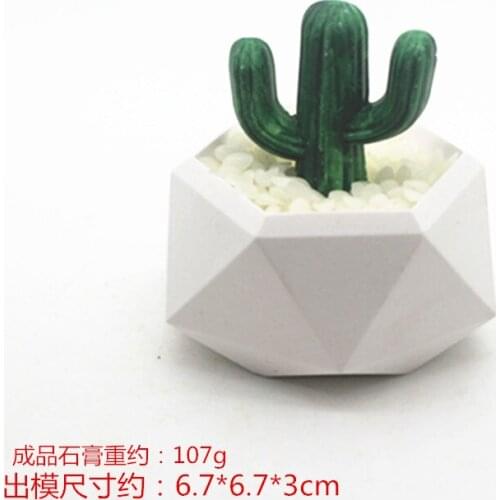 C1060 cactus Aromatherapy plaster ornaments silicone moulds