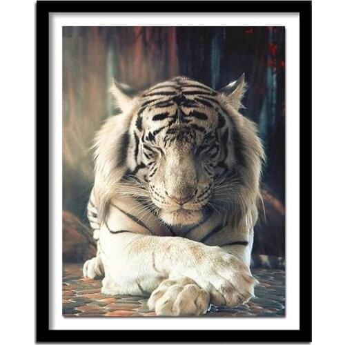 Diamond Animals Full Square/Round Drill Decoration Home 5D DIY Embroidery Diamond Painting Tiger