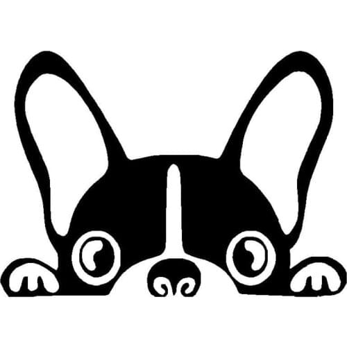 Hot Lifelike Car Sticker KK Vinyl Decalss Boston Terrier Dog Vinyl KK Vinyl Decals Cute Peep Animal Bumper Pvc 15cm X 11cm