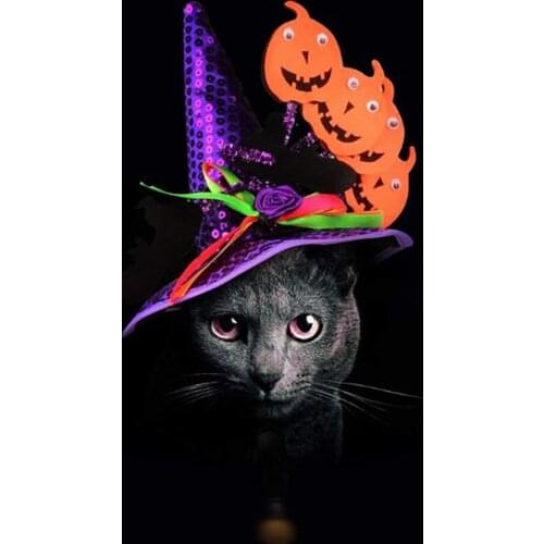 Pet Halloween Pumpkin Hat Cat Costume Accessories Funny Headwear Apparel For Small Dog Cat Kitten Festival Dress Up Pet Supplies