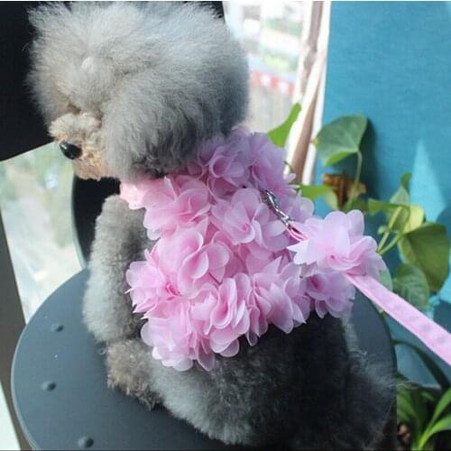 Sweet Floral Pet Dog Harnesses Vest No Pull Adjustable Chihuahua Puppy Cat Harness Leash Set for Small Medium Dogs Arnes Perro