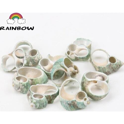 Natural Green Spiral Shell Loose Beads For Decoration Jewelry Making DIY Accessories 28-32mm 10pcs