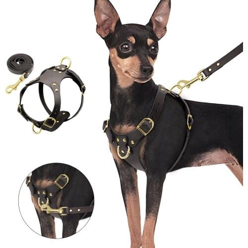 Dog Harness Vest Adjustable Genuine Leather Pet Dog Harness and Walking Leash Set For Small Medium Dogs Pug Beagle Brown