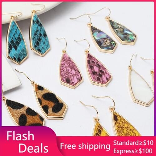 Acrylic Abalone Shell Leopard Curved Geometric Drop Earrings Snakeskin Leather Gold Dangle Earings Brand Jewelry