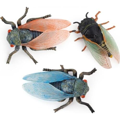 3 Kinds Cicada Model Action Figure Simulation Insect Animal Action Figures Collection PVC Toy Kids Gift