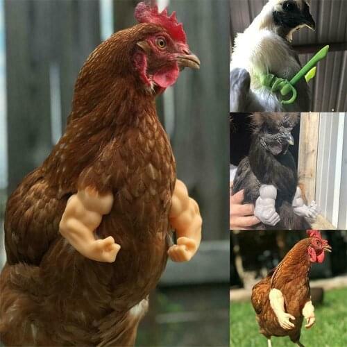 1 Pair Interesting Muscle Chicken Arms Gag Gifts For Chicken To Wear Muscle Arms New Pet-themed Party Cosplay Props Supplies