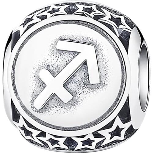 ANNA QUEEN Zodiac Sign Charm 12 Horoscope Constellation Charm Bead fit Charms Bracelet