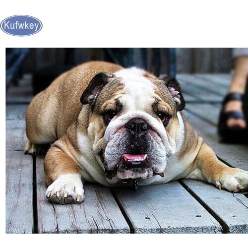 Full Square 5D DIY Diamond painting English Bulldog Cross Stitch diamond Embroidery Rhinestones Painting 3d puzzle sticker decor