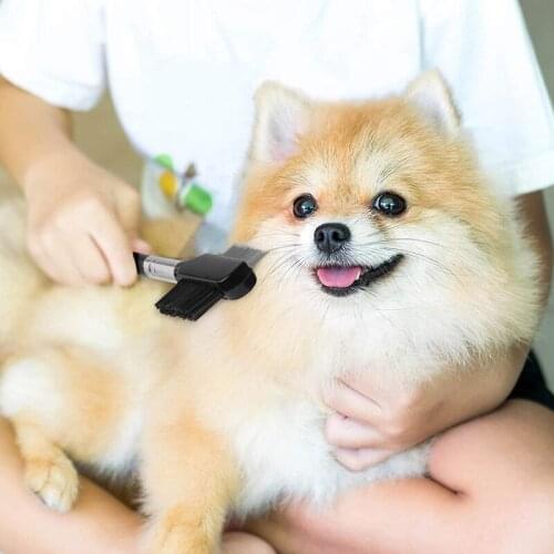 12 Pieces Dog Tear Stain Remover Comb Double-Sided Dog Eye Comb Brush with a Storage Bag Pet Grooming Comb Multipurpose