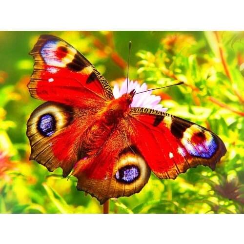 ARMYQZDiamond Pigment Butterfly Animal Diamond Embroidery Cross Stitch 5d Diamond Painting Square/Round Diamond Mosaic