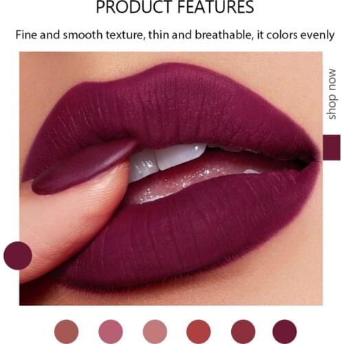 6Pcs/Box Handaiyan Matte Moisturizing Lipstick Waterproof Multi-color Lipgloss