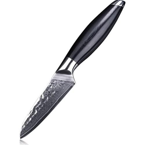 Knife Kitchen Damascus Steel 3.5 Inches Paring Knife Japanese vg10 Fruit Knives Handmade Cook Tools Hammared Blade G10 Handle
