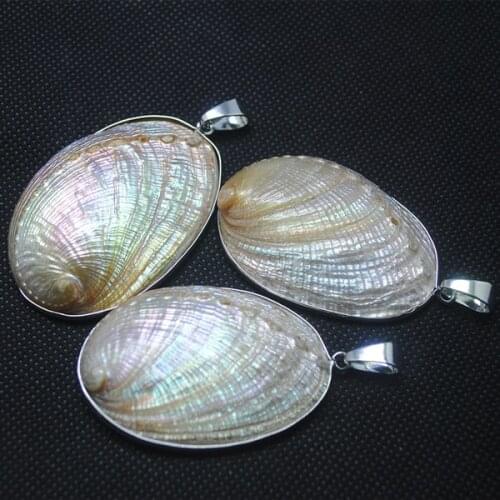 Saltwater shell pendants seawater charms pendants saltwater shell beads collection for necklace making accessories