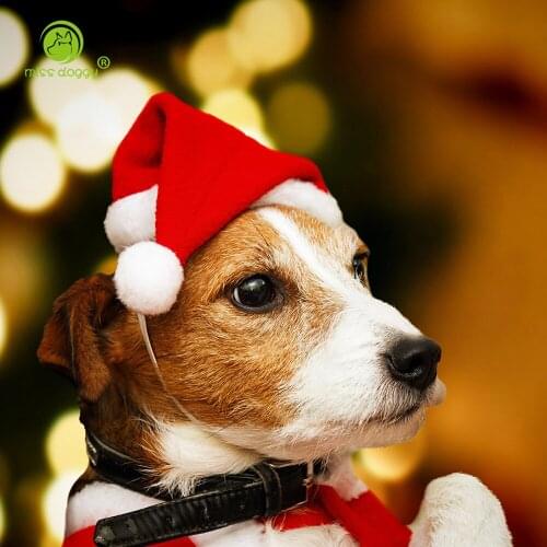 Christmas Halloween Winter Pet Dog Cat Cap Funny Non-woven Fabric Pet Costume Puppy Dog Caps Christmas Party Pets Accessories 12