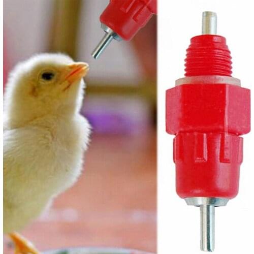INCUBATOR Products For Farm Animals