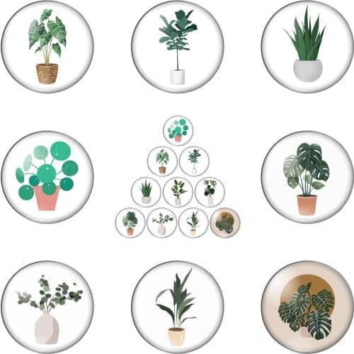 New Potted Little Green Plant Vitality Round Photo Glass Cabochon Demo Flat Back Making Findings Handmade DIY Accessories