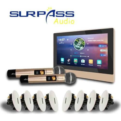 Bluetooth WiFi Wall Amplifier Android Smart Home Audio PA System Ceiling Speaker 2 Zones Wireless Microphone Stereo Music Combos