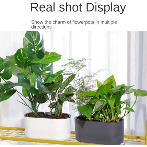 Automatic Self-Watering Plastic Plant Pot with Water Level Indicator Floor Table Flowerpot Planter with Wooden Bracket