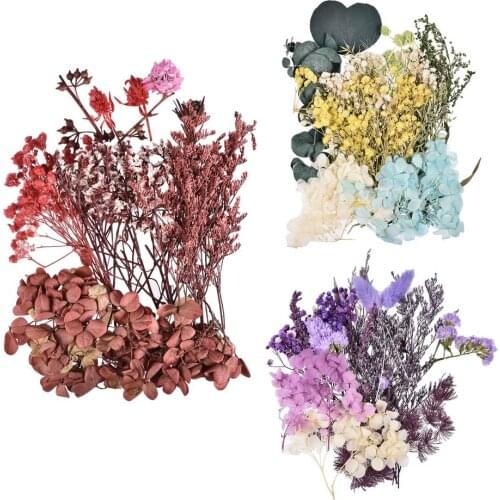 Natural Dried Flowers Dried Flowers Scrapbooking Dry DIY Herbs Plants Resin Preserved Flower Decoration Home