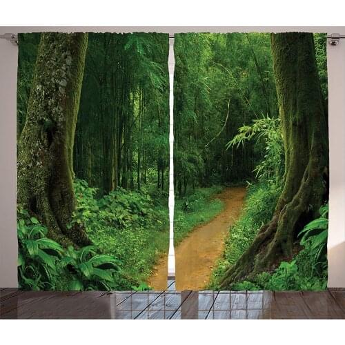 Tropical Curtains Tropical Jungle Forest with Trees Pathway Foliage Wilderness Nature Landscape Picture Living Room Decor