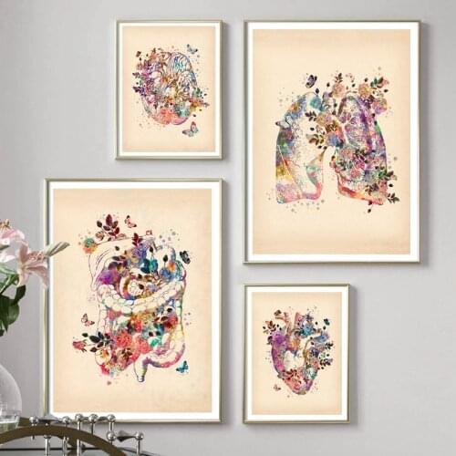 Vintage Human Medical Anatomy Posters and Prints Brain Heart Lungs Watercolor Wall Art Canvas Painting Picture Clinic Wall Decor