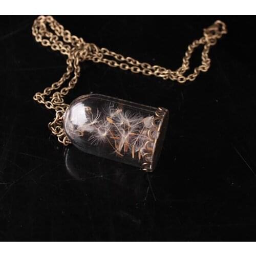 Coxeer 1pc Fashion Women Girls Dandelion Decor Pendant Necklace Retro Creative Charm Necklace Jewelry Accessories Party Dress Up