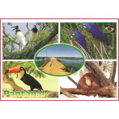 SOUVEMAG 78*54*3mm,BRAZIL Pantanel Postcard Magnets 20375 Rigid Plate Tourist Memories