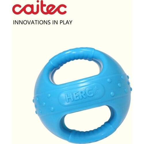 CAITEC Dog Toys Handle Ball with Squeaker Floatable Springy Great for Tossing Chasing Suitable for Interactive