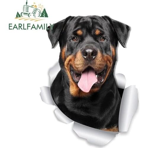 EARLFAMILY 13cm x 9.8cm 3D Car Sticker Smiling Rottweiler Dog Stickers for Wall Fridge Toilet Rottweiler Lover Ripped Torn Decal