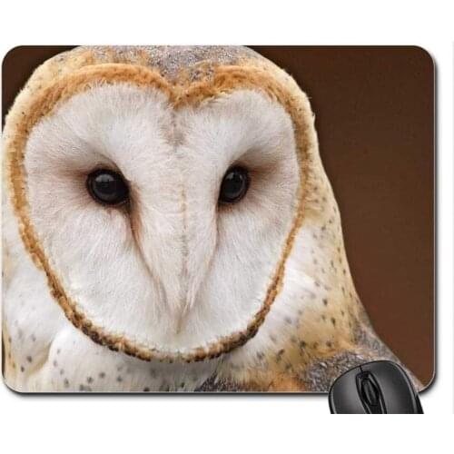 Gaming Mouse pad, Made Barn Owl Mouse Pad, Mousepad (Birds Mouse Pad)