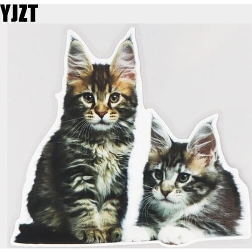 YJZT 17.8×16.5CM Maine Coon Cat Creative Cartoon Vinyl Decals Animal Stickers Car Accessories 21A-0640