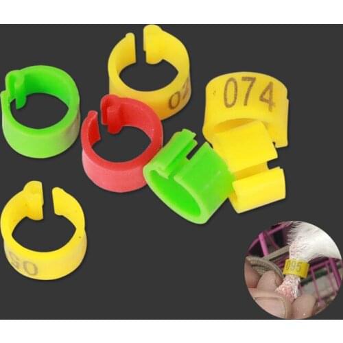 Uvet Veterinary 8mm digital pigeon Foot ring