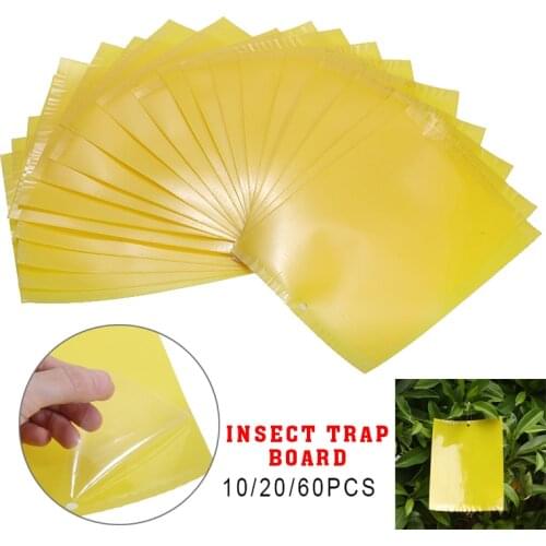 Nayitr Insect Traps