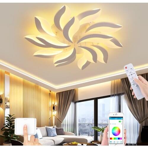 Nordic Simple Modern Home Lighting Smart Remote Control Ceiling Lamp Bedroom Hall Study Ceiling Universal