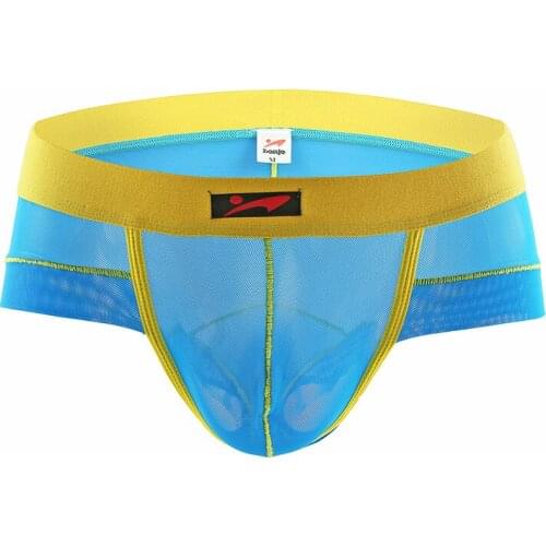 Men Underwear Briefs Slip Mesh Shorts Cueca Gay Men Underwear Sexy Male Panties Breathable U Pouch Penis underwear