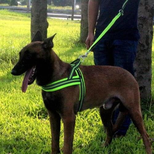 Soft Dog Pet Leash in Harness and Collar Reflective Nylon Mesh Walking Training Comfortable Padded Holding Traction Rope