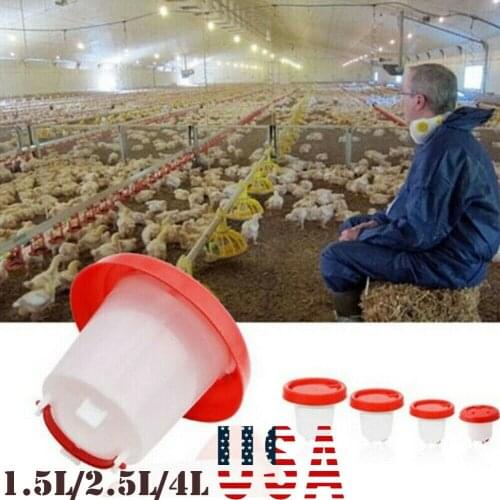 Robust Plastic Chicken Quail Poultry Chick Hen Drinker Food Feeder Waterer Accesories 1.5 / 2.5 / 4L