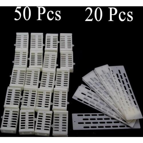 1SET Queen Cage Plastic Anti Fly Sheet BeeHive Nest Door Rearing Imprison Introduction Virgin Queen Beekeeping Tools Supplies